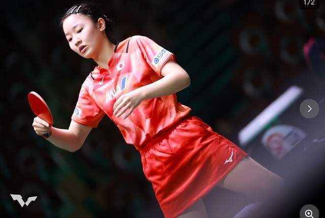 宠物与装备 宠物与装备