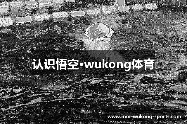 认识悟空·wukong体育